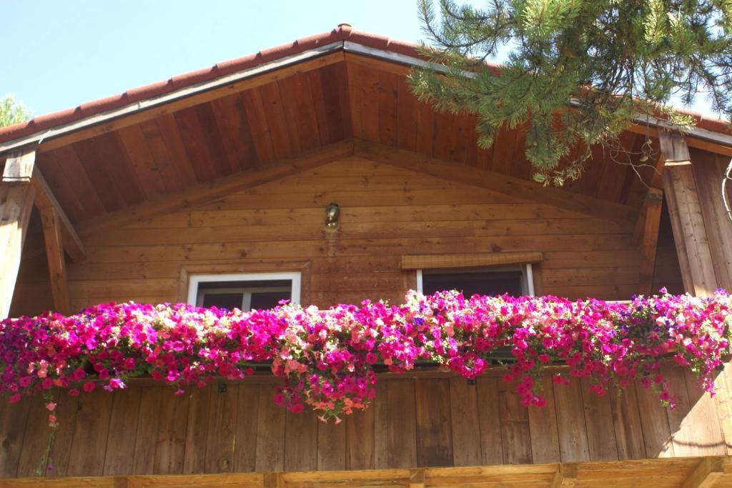 Alpenglow Bed And Breakfast Kimberley Habitación foto